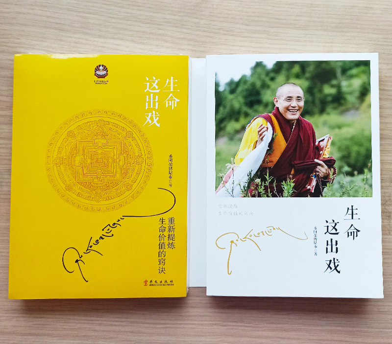 生命这出戏希阿荣博堪布心灵修养佛教哲学人生哲学智慧书重新提炼生命价值的诀窍博集天卷_虎窝淘